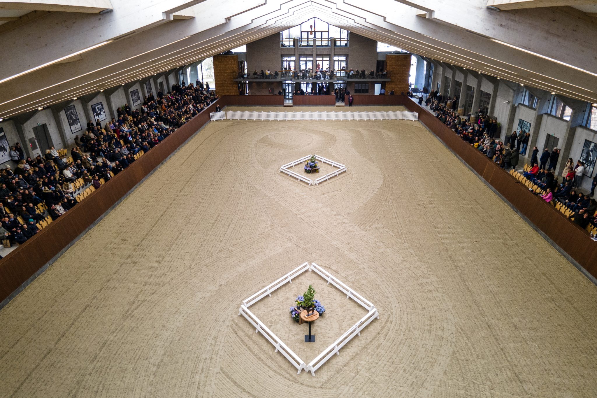 Randbøl Dressage Academy – Forside